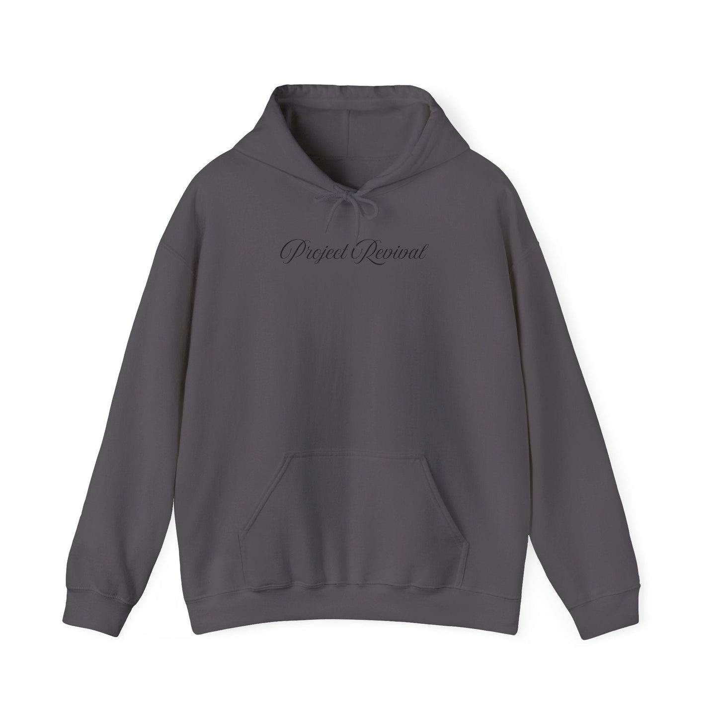King of Kings Unisex Hoodie - Project Revival