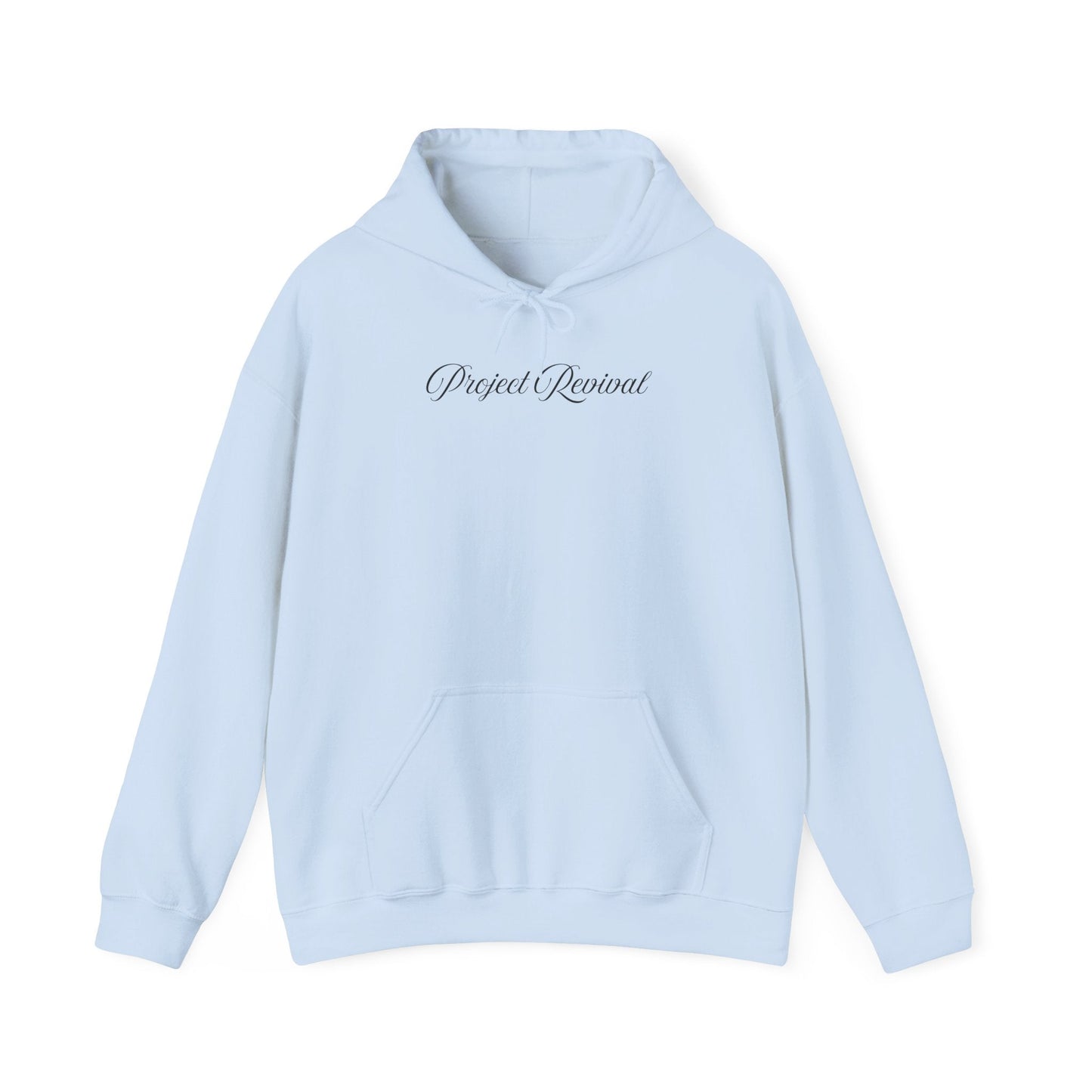 King of Kings Unisex Hoodie - Project Revival