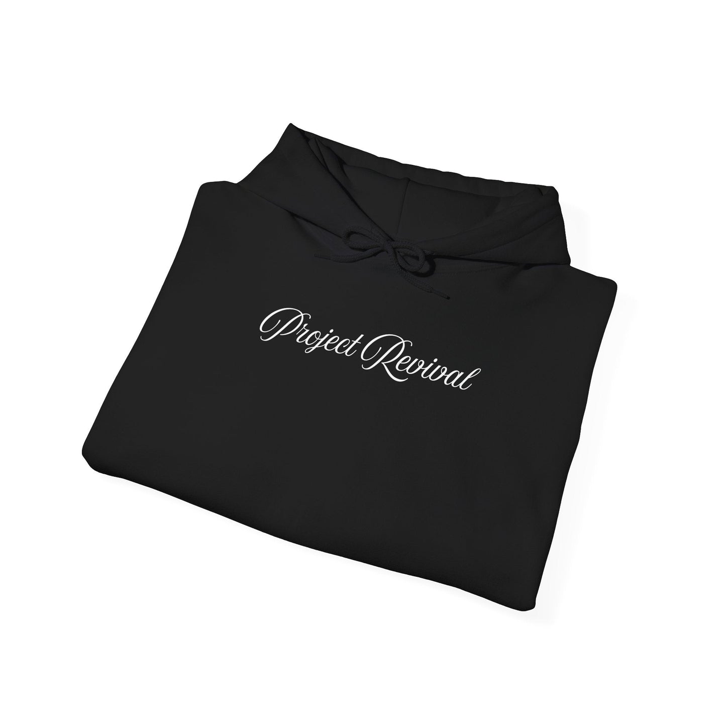 King of Kings Unisex Hoodie - Project Revival