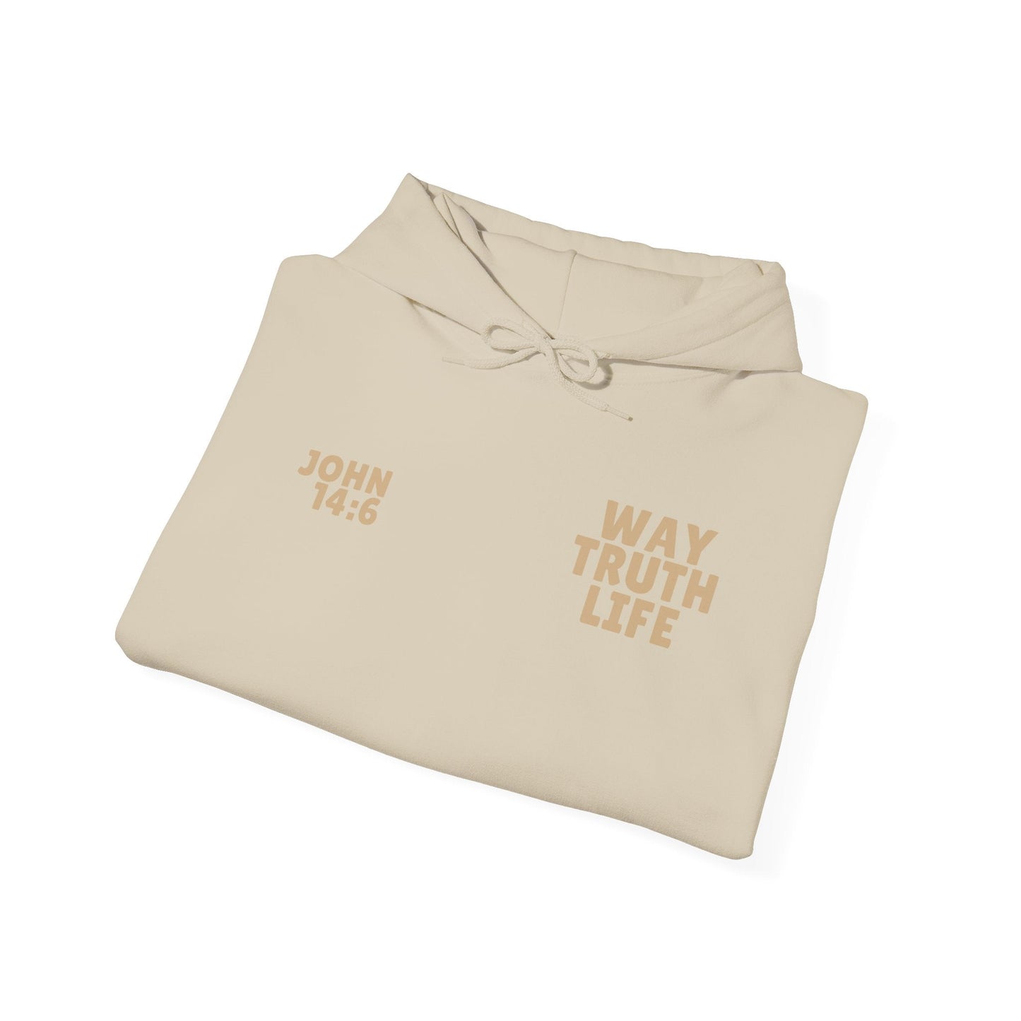 Way Truth Life Unisex Hoodie - Project Revival