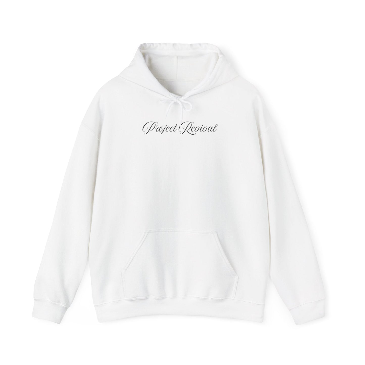 King of Kings Unisex Hoodie - Project Revival