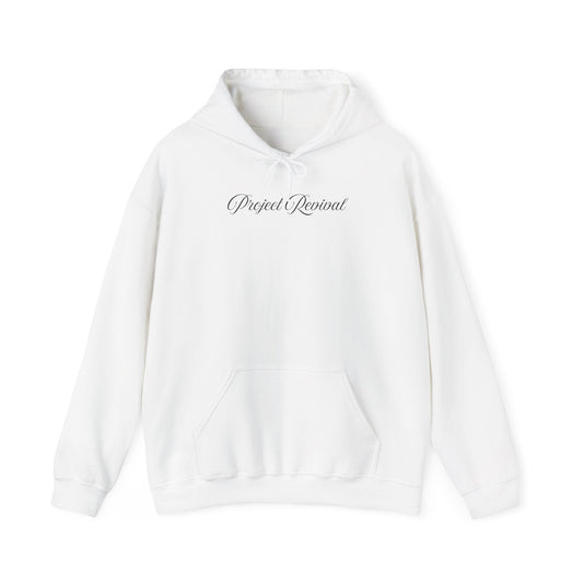 King of Kings Unisex Hoodie - Project Revival
