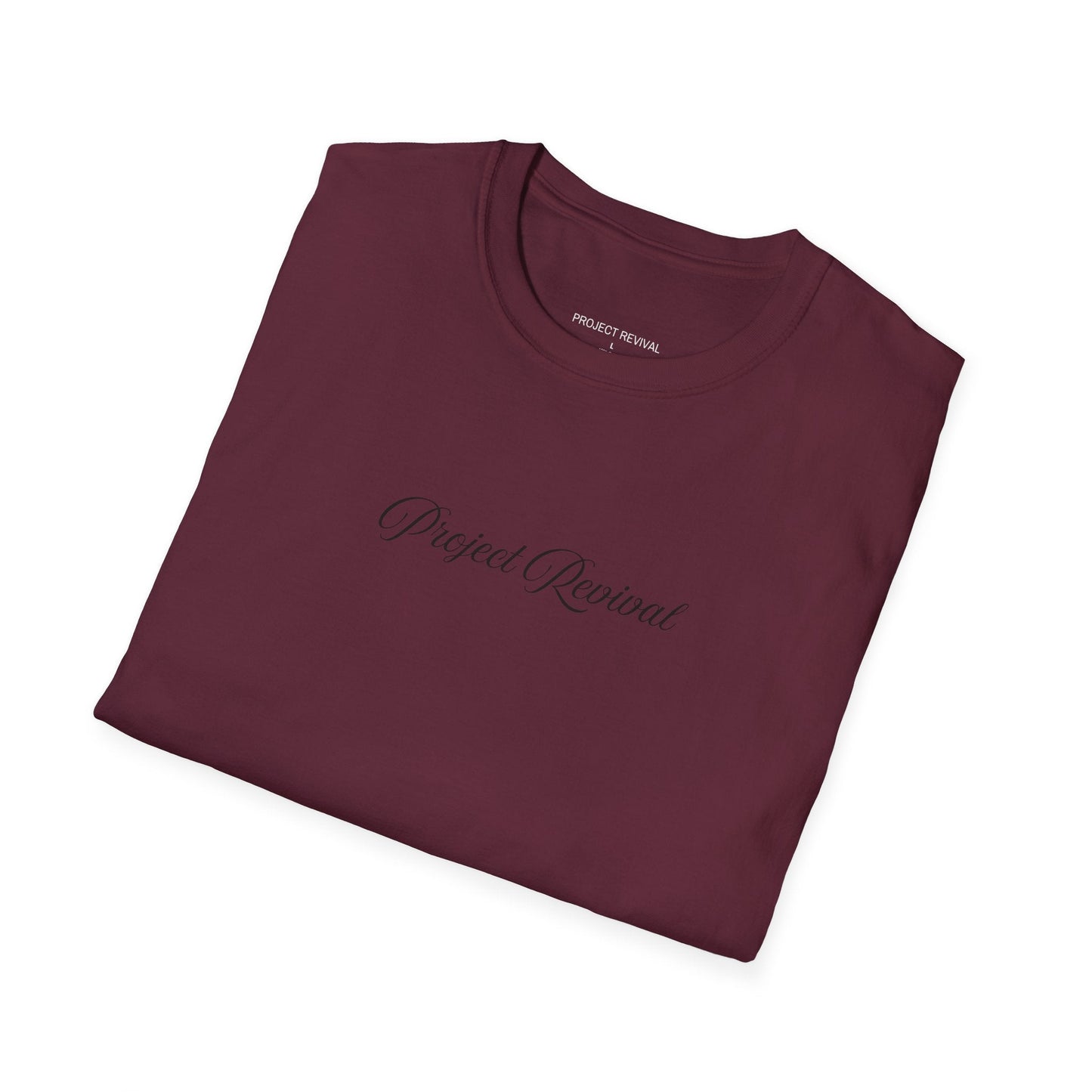 King of Kings Unisex Tee - Project Revival