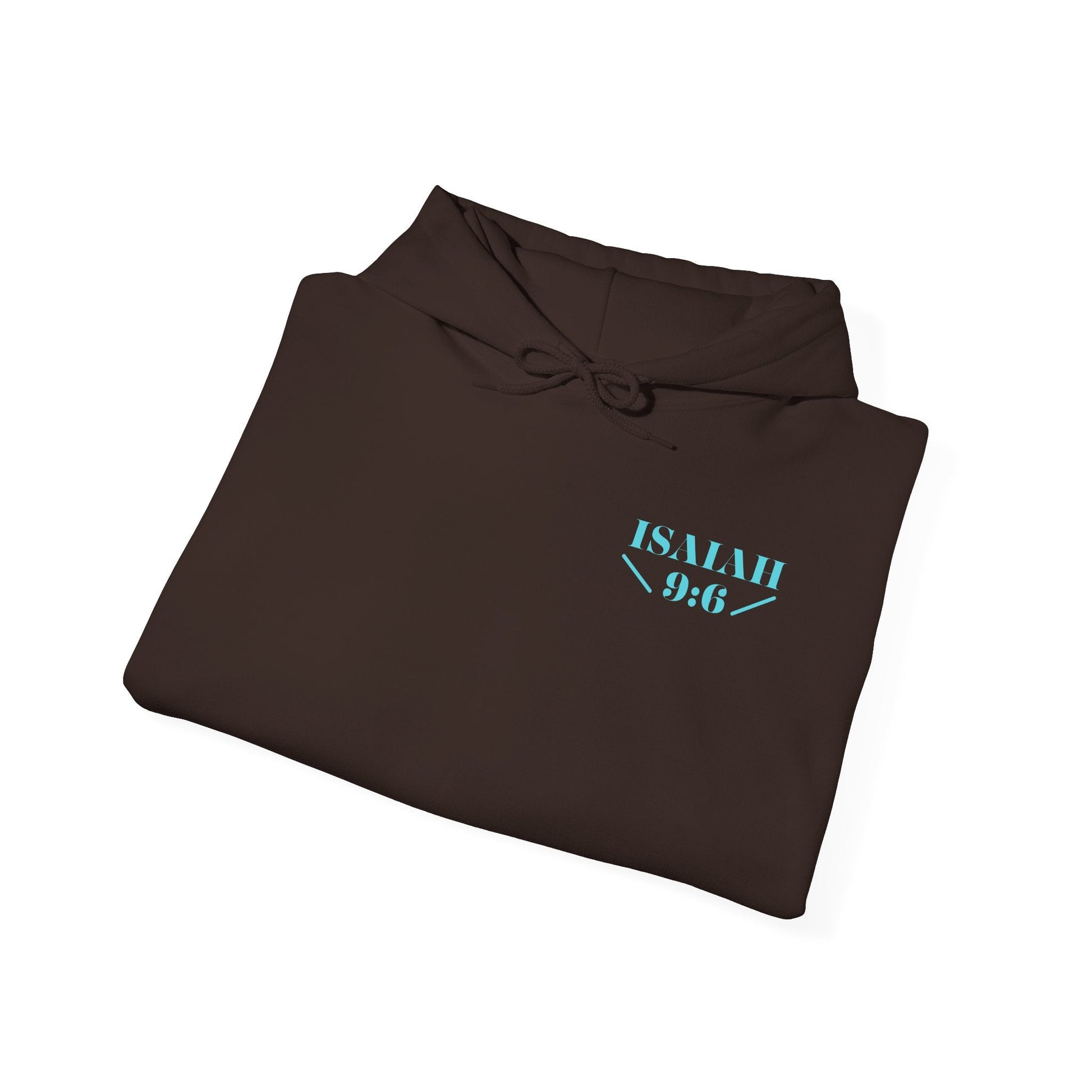 Prince of Peace Unisex Hoodie - Project Revival