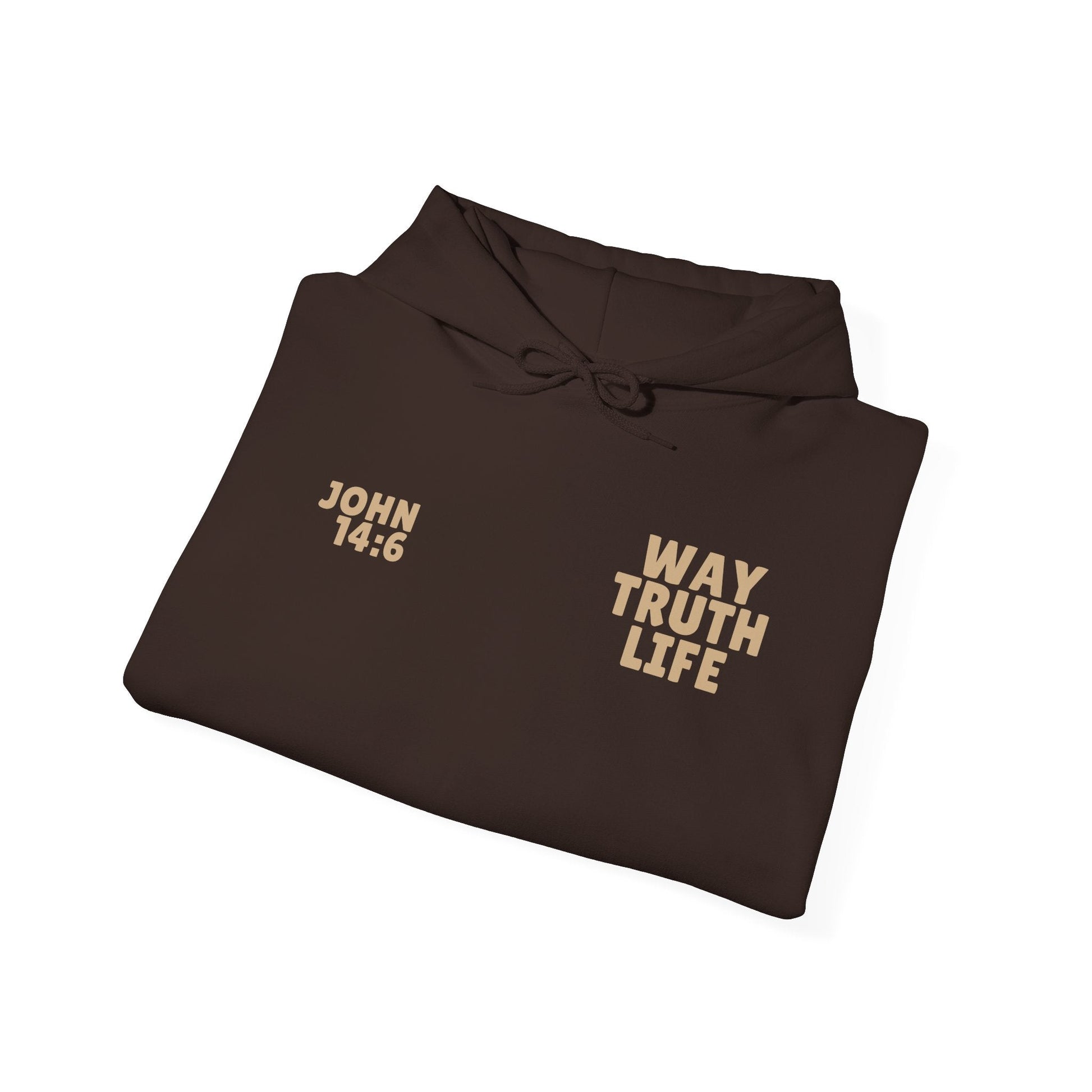 Way Truth Life Unisex Hoodie - Project Revival
